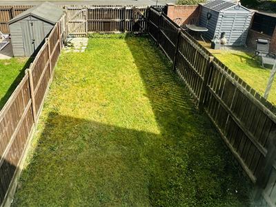 Picture 13